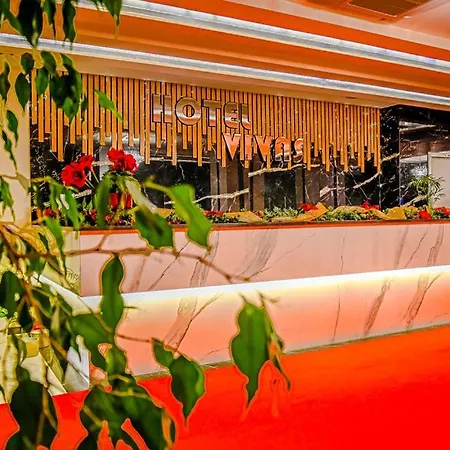 Hotel Vivas