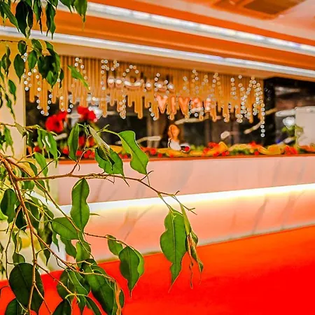 Hotel Vivas 4*